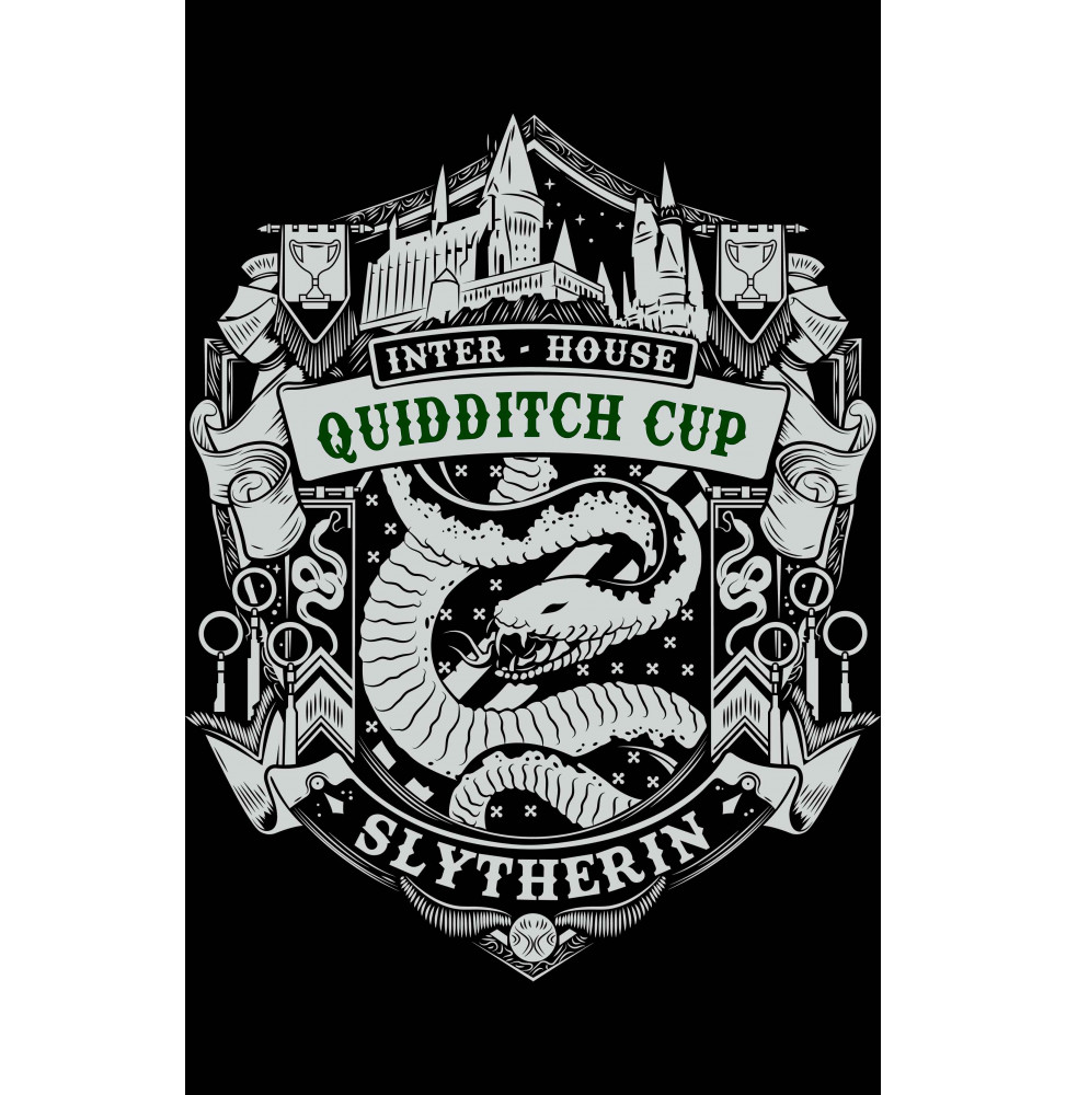 Camiseta Harry Potter Quidditch Cup Slytherin