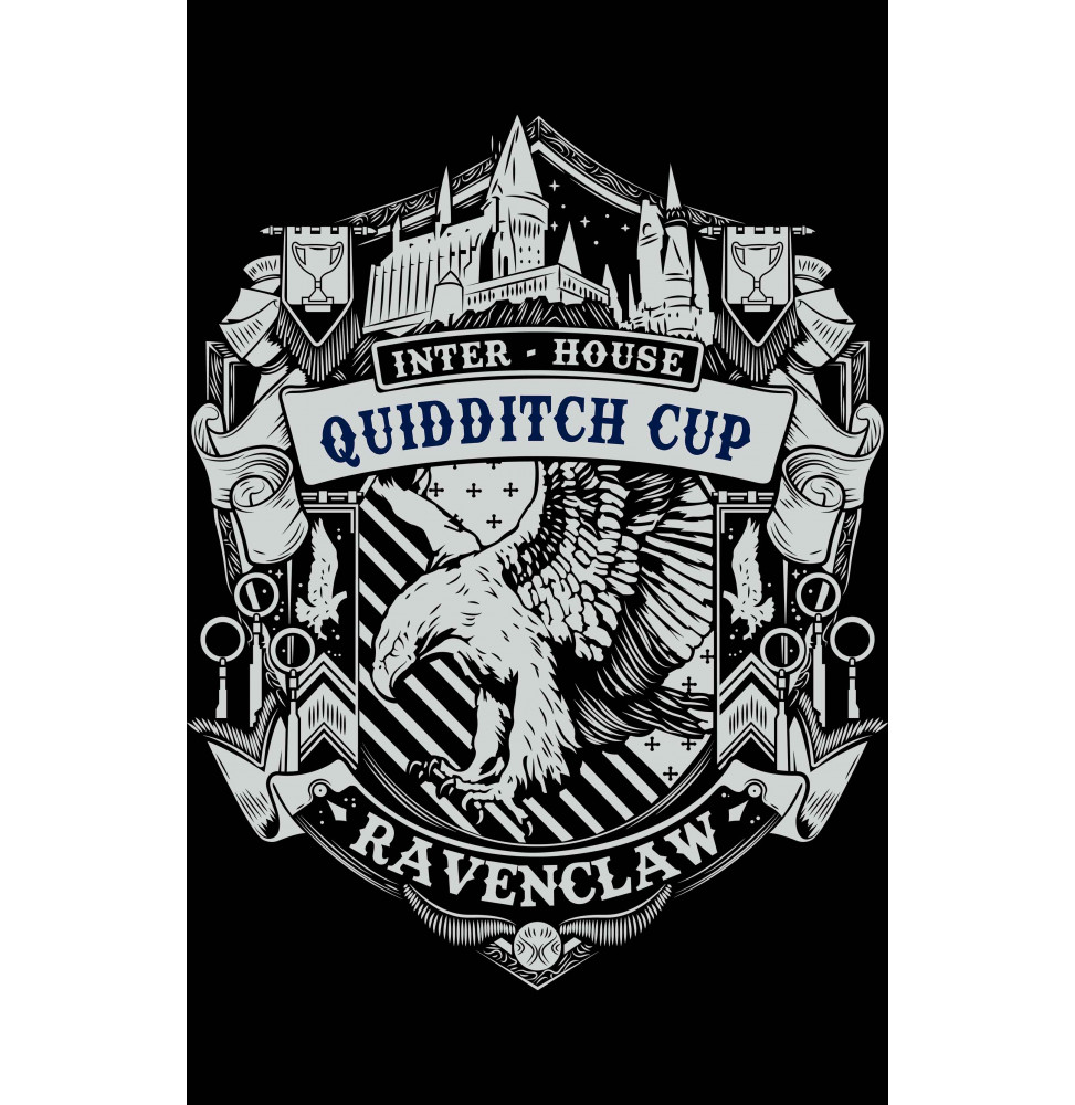 Camiseta Harry Potter Quidditch Cup Ravenclaw