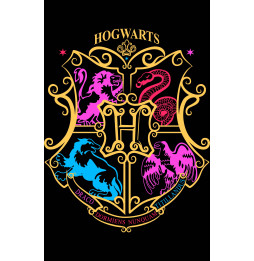 Camiseta Harry Potter Hogwarts