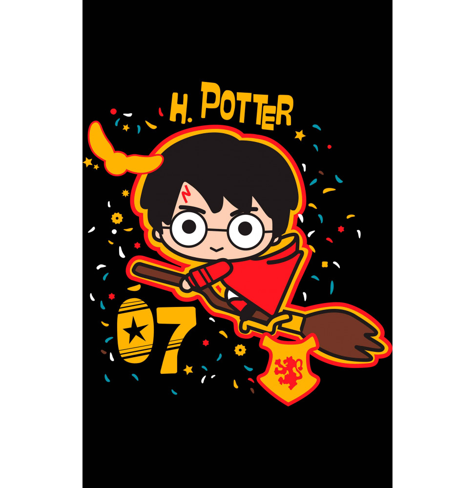 Camiseta Harry Potter Escoba Voladora