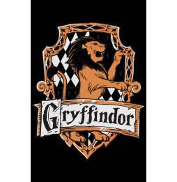 Camiseta Harry Potter Griffindor