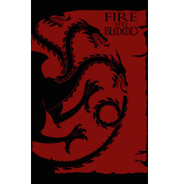 Camiseta House of the Dragon Fire and Blood