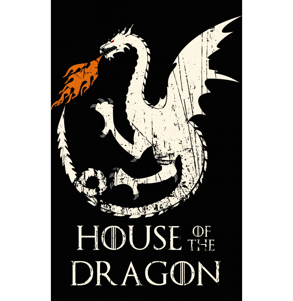 Camiseta House of the Dragon