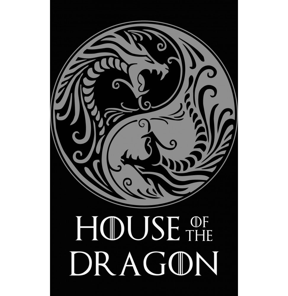 Camiseta House of the Dragon