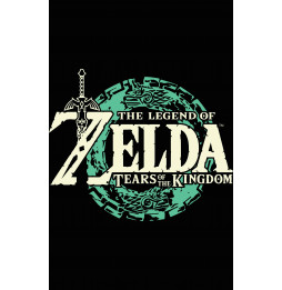 Camiseta Zelda Tears of the Kingdom