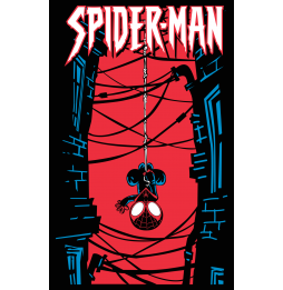 Camiseta  Spiderman